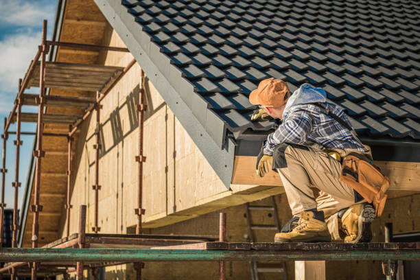Best Roof Ventilation Installation  in Albany, MO